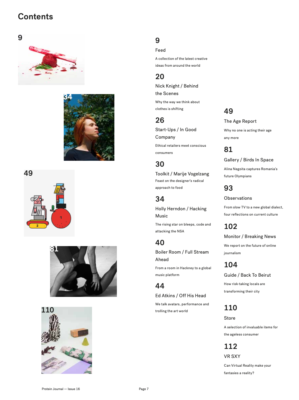 PROTEIN JOURNAL #16 (HOLLY HERNDON)
