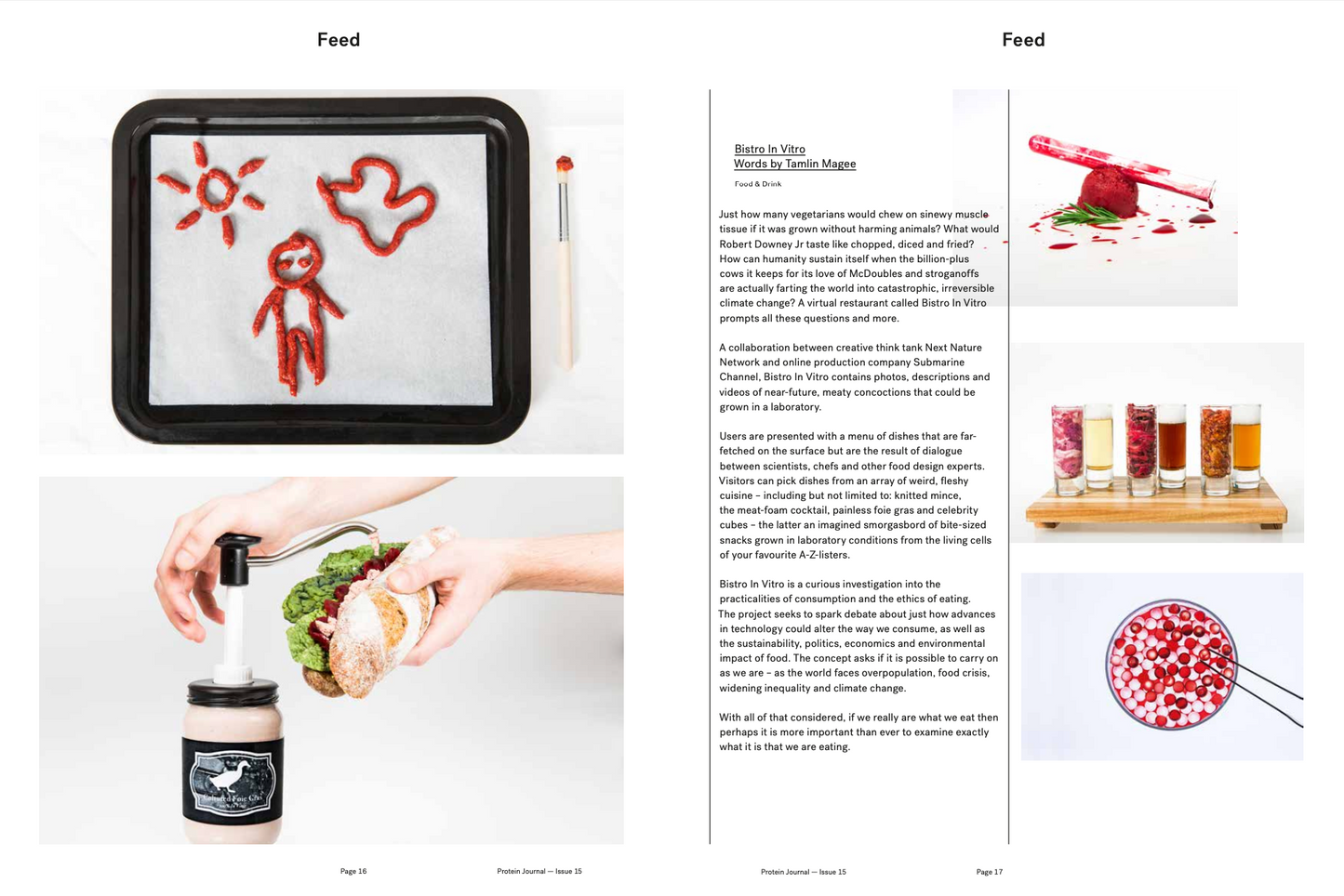 PROTEIN JOURNAL #16 (HOLLY HERNDON)