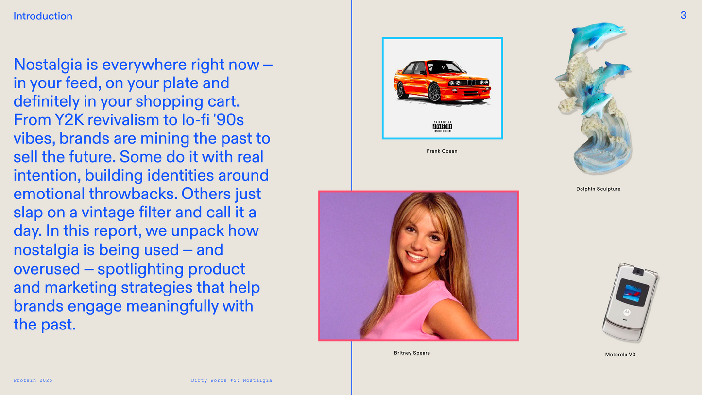 DIRTY WORDS #5 [NOSTALGIA]